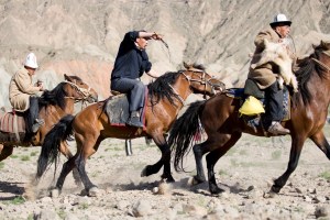 Gobi horses