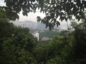 Hong Kong trails!